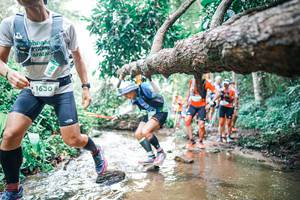 BIB: 
                            <button type="button" onclick="openModal(25372232)" class="btn btn-primary btn-sm float-right btn-popup" data-toggle="modal" data-target=".modal-high-quality">
                        <i class="fas fa-shopping-cart"></i> Add to Cart
                    </button>
                                            <button type="button" onclick="isThisMe(25372232, true)" class="btn btn-success btn-sm float-right btn-popup btn-isme hidden" data-toggle="tooltip" data-placement="bottom" title="นี่คือรูปของคุณใช่ไหม คลิกที่นี่เพื่อเอาเข้าอัลบั้ม">
                        <i class="fas fa-plus"></i> Add to album
                    </button>
                    <button type="button" onclick="isThisMe(25372232, false)" class="btn btn-warning btn-sm float-right btn-popup btn-isnotme hidden">
                        <i class="fas fa-ban"></i> Remove from album
                    </button>